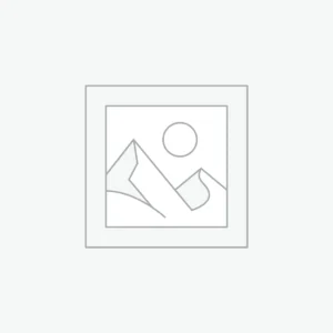 Curso SEO Básico